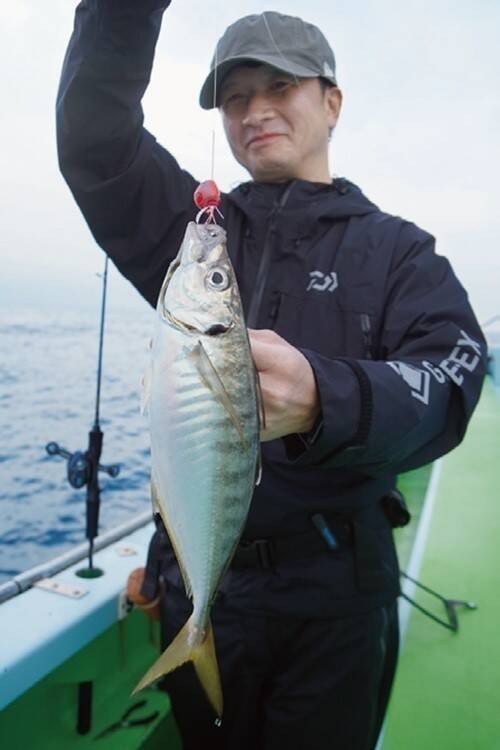 落ちシーズンへ移行で大型も　横須賀沖のタイラバが熱い！