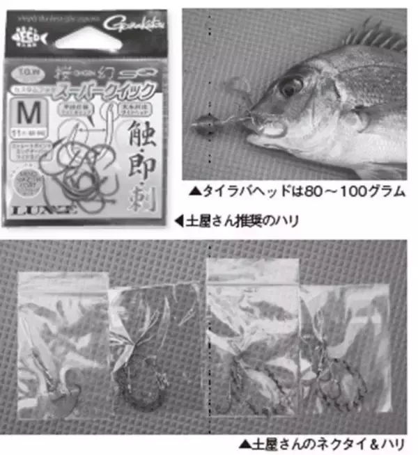 「落ちシーズンへ移行で大型も　横須賀沖のタイラバが熱い！」の画像