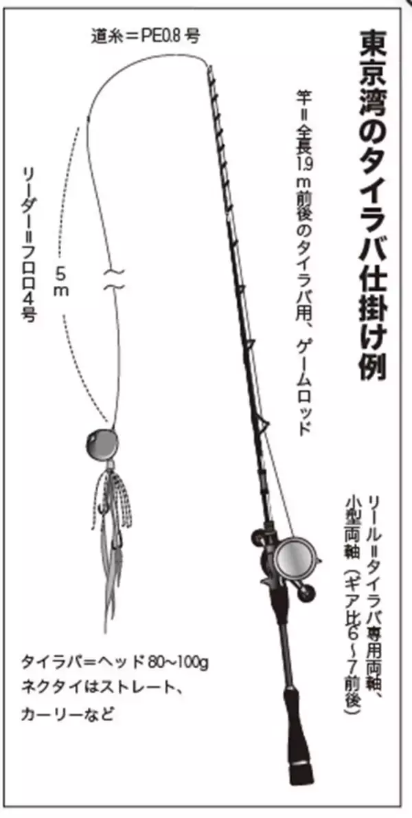「落ちシーズンへ移行で大型も　横須賀沖のタイラバが熱い！」の画像