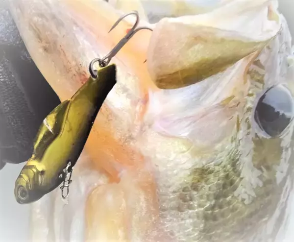 「メタルバイブで冬バスを釣りたい！使い方&おすすめロッド特集」の画像