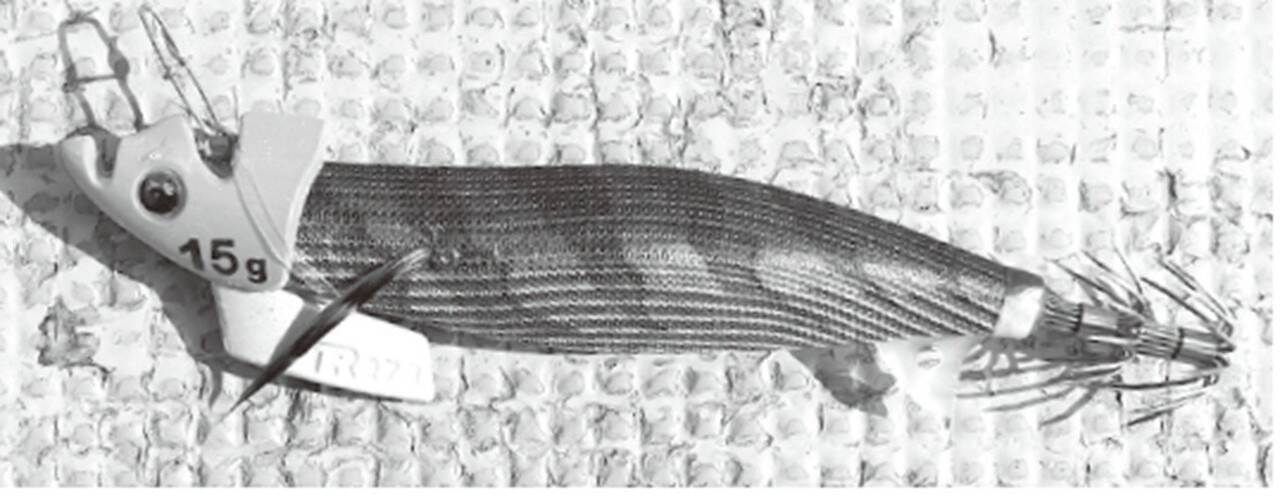 ティップランで狙う富浦沖のアオリイカ