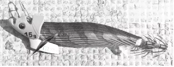 「ティップランで狙う富浦沖のアオリイカ」の画像