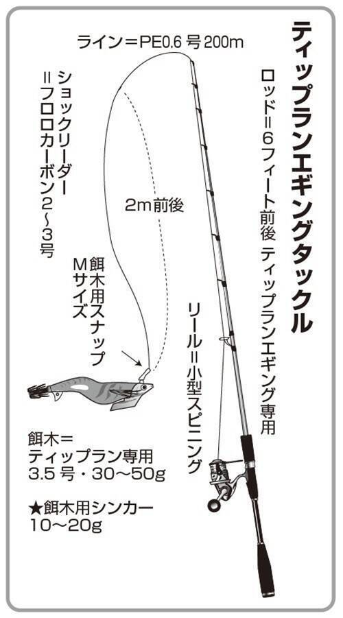 ティップランで狙う富浦沖のアオリイカ