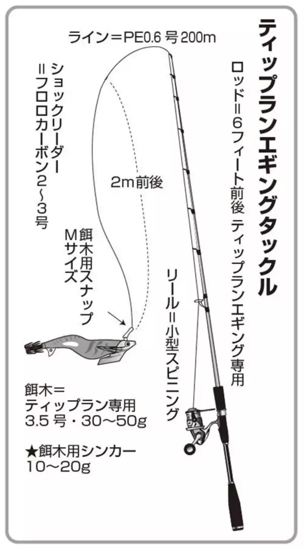 「ティップランで狙う富浦沖のアオリイカ」の画像