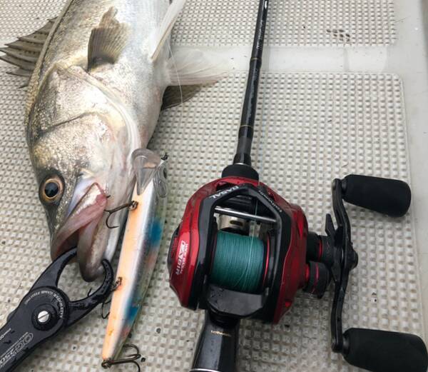 テイルウォークのベイトリールが気になる 実釣インプレ特集 22年4月16日 エキサイトニュース