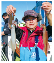 相模湾のヤリイカ上昇中小田原南沖で乗り順調