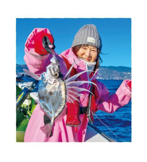 相模湾のヤリイカ上昇中小田原南沖で乗り順調