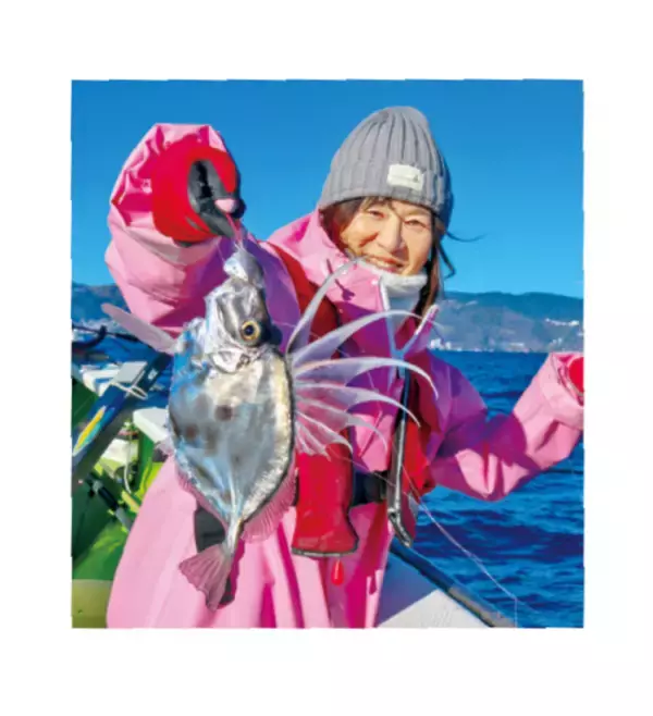 「相模湾のヤリイカ上昇中小田原南沖で乗り順調」の画像