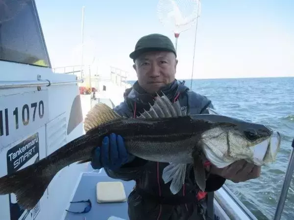 【釣果速報】シーバス竿頭21匹！MAXサイズ67cm！神奈川県長崎屋ならランカーバスゲットも夢じゃない！