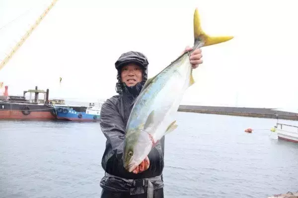 【釣果速報】兵庫県魚英でメジロ・ハマチ・サバゲット！青物との勝負を心ゆくまで楽しみませんか？