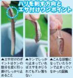 「湾奥にタチウオの群れ集結テクニックを磨くなら今！」の画像2