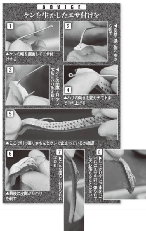 湾奥にタチウオの群れ集結テクニックを磨くなら今！