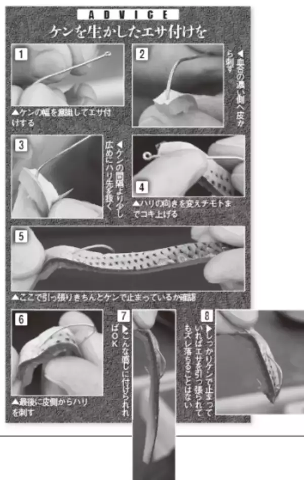 「湾奥にタチウオの群れ集結テクニックを磨くなら今！」の画像