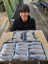 【釣果速報】兵庫県釣り船 名田屋で極旨ショウサイフグが大漁！質・量ともに大満足の釣りに出発だ！！