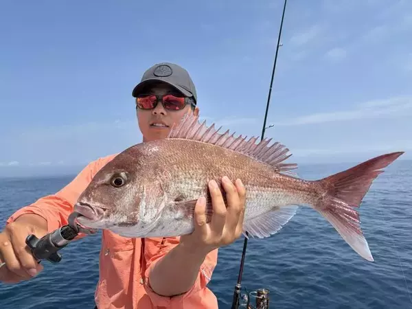 「【釣果速報】千葉県梅花丸で4.68kgマダイ上がる！ハナダイ、カサゴ、イナワラなど多彩なゲストも見え釣行は大充実！」の画像