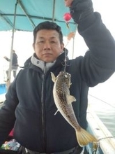 【釣果速報】ショウサイフグが好調に釣れ続いて合計22匹達成！あなたも兵庫県海蓮丸で数釣りを楽しもう！