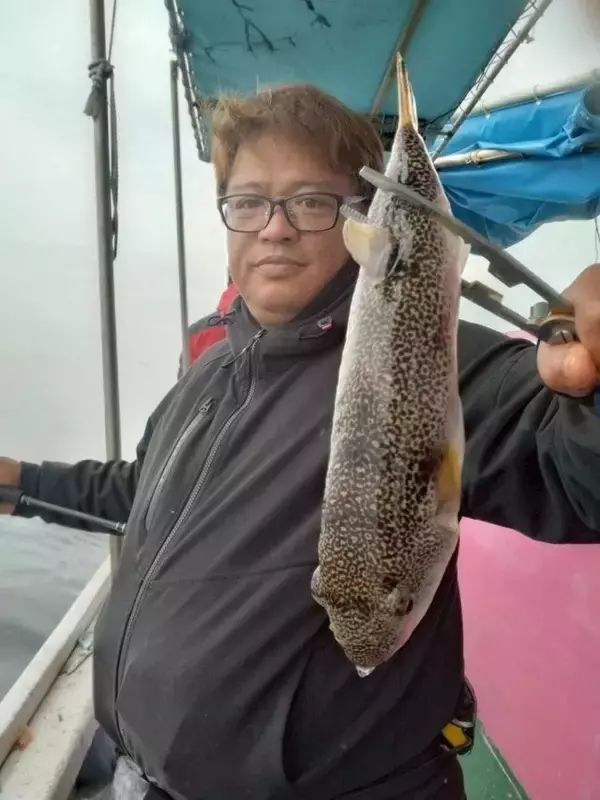 「【釣果速報】ショウサイフグが好調に釣れ続いて合計22匹達成！あなたも兵庫県海蓮丸で数釣りを楽しもう！」の画像
