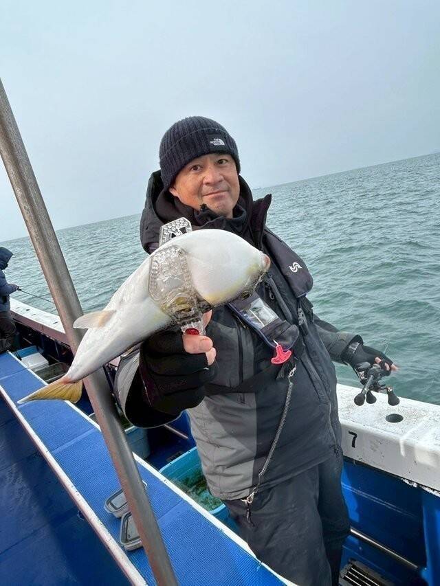 【釣果速報】ショウサイフグが好調に釣れ続いて合計22匹達成！あなたも兵庫県海蓮丸で数釣りを楽しもう！