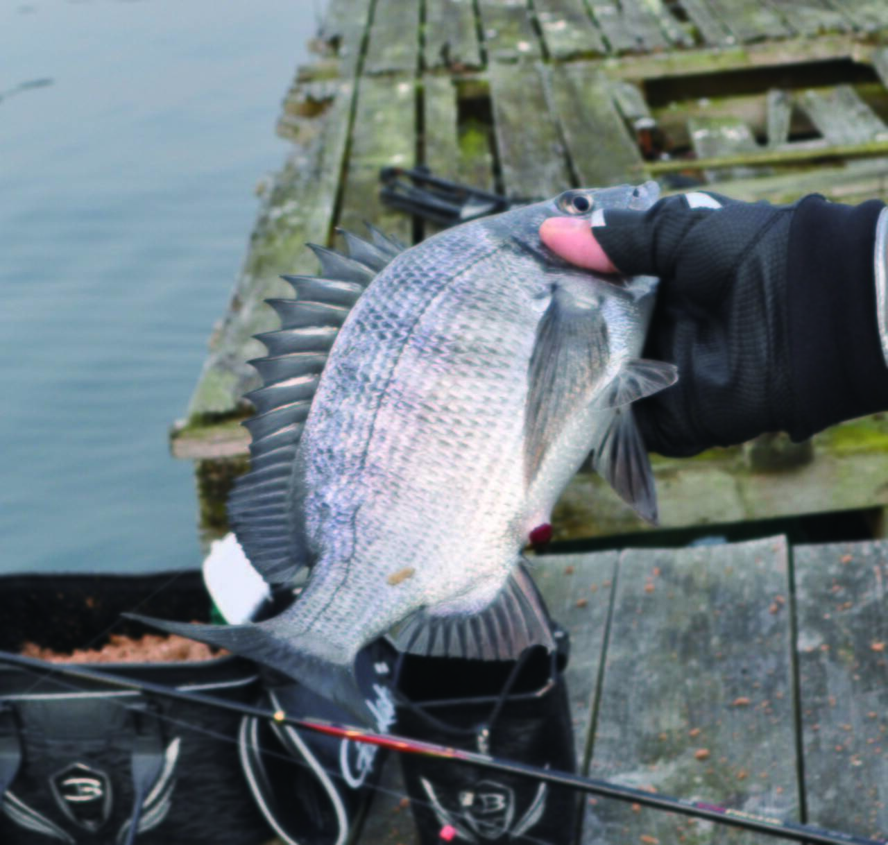 がまかつテスター、南康史のチヌフカセロード～あくまで楽しく1尾を釣り、そして、ときどきルアーも楽しみます～