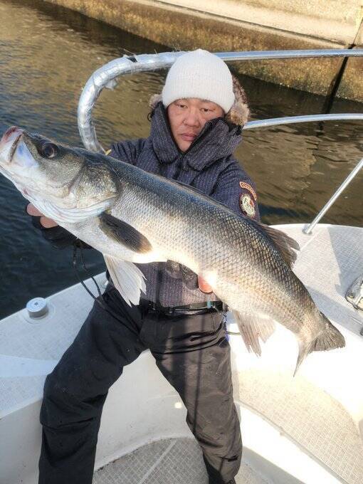 【東京湾・海老取川】2時間〜8時間まで選べる！シーバス・アジ狙いなら「PLAYFUL FISHING」【2026年冬最新】