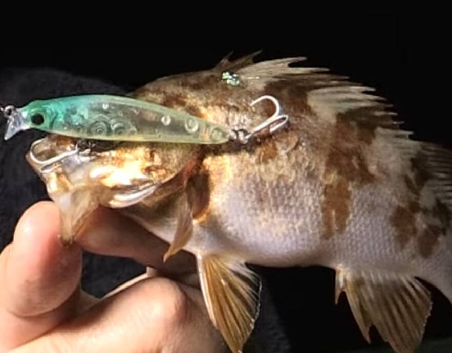 22年度版 メバリング向けおすすめプラグ特集 使い方 タックルもチェック 22年3月19日 エキサイトニュース