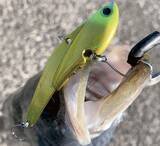 「シーバスゲームに欠かせないコアマンIPシリーズ！実釣インプレ特集」の画像2