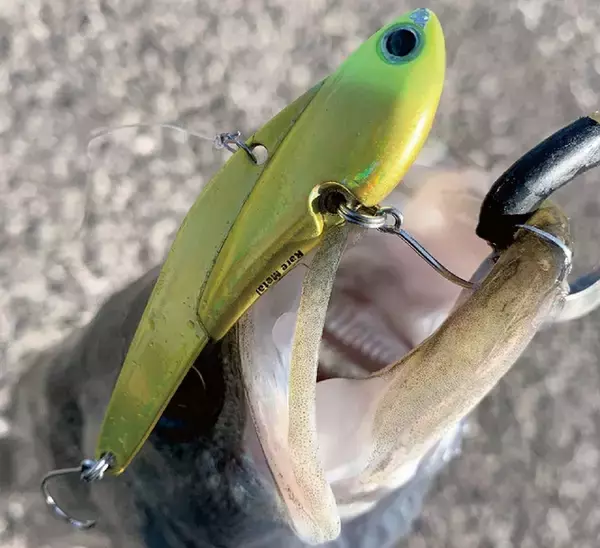 「シーバスゲームに欠かせないコアマンIPシリーズ！実釣インプレ特集」の画像