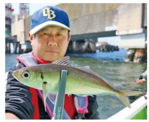 「船釣り入門におすすめ湾奥のライトアジ好調」の画像