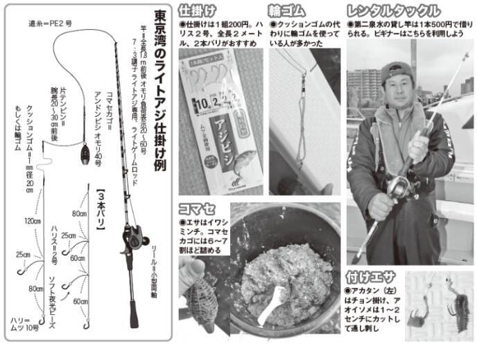 船釣り入門におすすめ湾奥のライトアジ好調