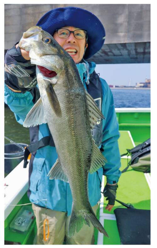 船釣り入門におすすめ湾奥のライトアジ好調