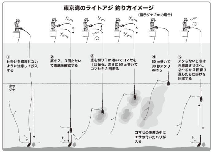 船釣り入門におすすめ湾奥のライトアジ好調