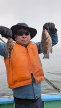 【釣果速報】アカハタ・カサゴ・キジハタなど多彩な魚種で船内がカラフルに！あなたも神奈川県ゆうせい丸で大興奮の釣行を味わおう！