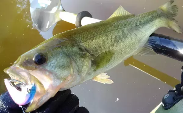 カヤックフィッシングで使う釣竿ってどれがいいの？