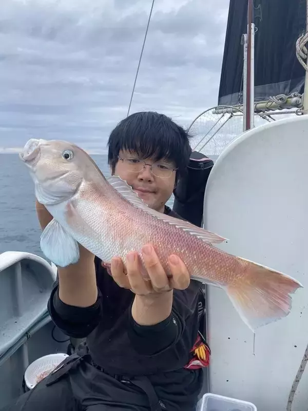 【釣果速報】“幻の甘鯛”ことシロアマダイが連発ヒット！潮の流れが悪くても45cmキャッチ！静岡県山大丸で超高級魚に出会おう！