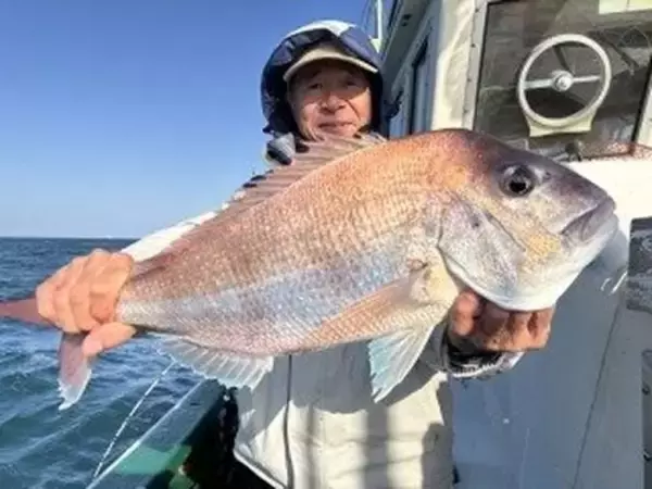 「【釣果速報】新潟県なかくに丸でマダイ・ヒラマサ・レンコダイと人気魚種続々ゲット！いろいろな魚との出会いを楽しみたい人は即予約を！」の画像