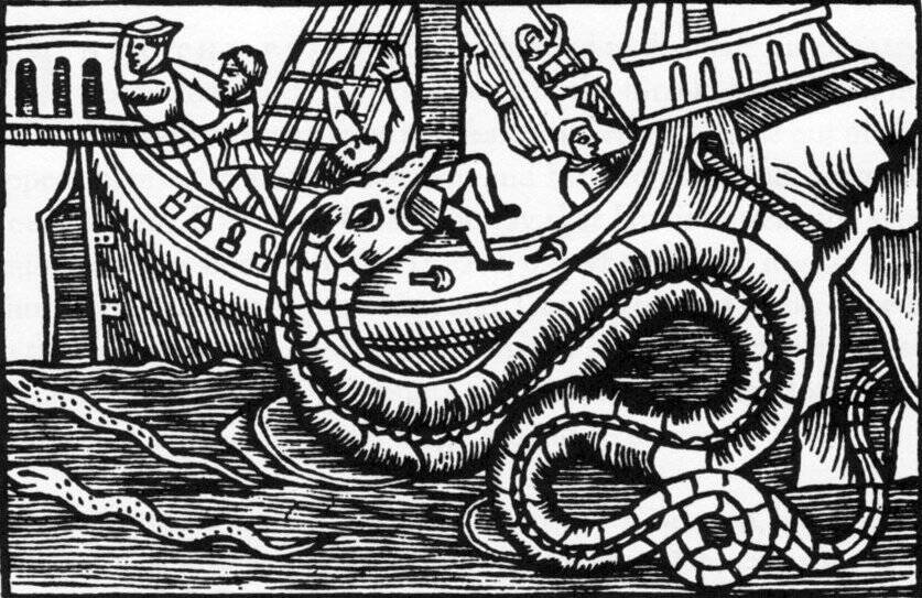 リュウグウノツカイはどんな魚？最近日本各地で目撃されている“幻の深海魚”をクローズアップ！