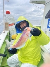 【釣果速報】神奈川県庄治郎丸でアマダイ好調！40cmの大物やゲストにイトヨリ、アカボラなども登場！高活性な今が狙い目！