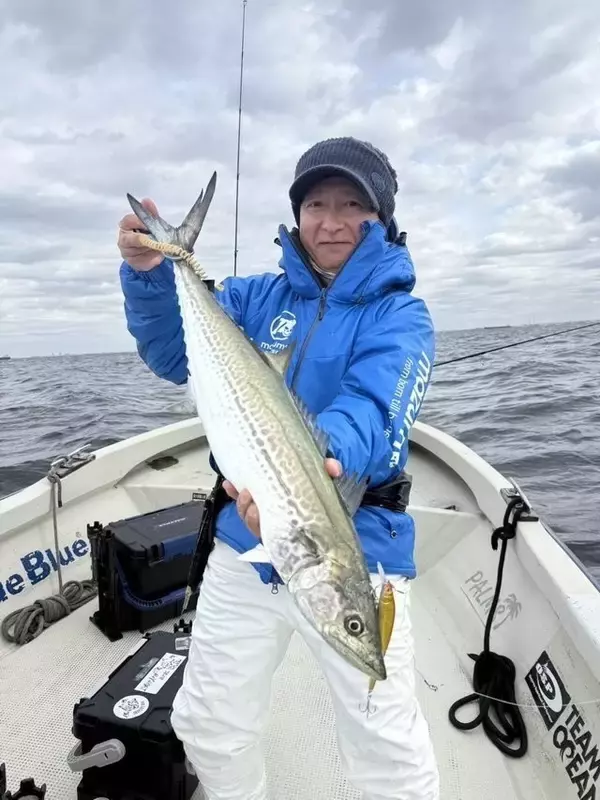 【釣果速報】3.00kgのビッグサワラ獲ったどー！千葉県林遊船でクーラー超えの大物を手に入れよう！