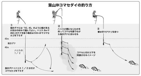 「一年で最高のシーズン到来　深場で大ダイを狙おう！」の画像