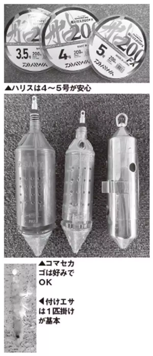 「一年で最高のシーズン到来　深場で大ダイを狙おう！」の画像