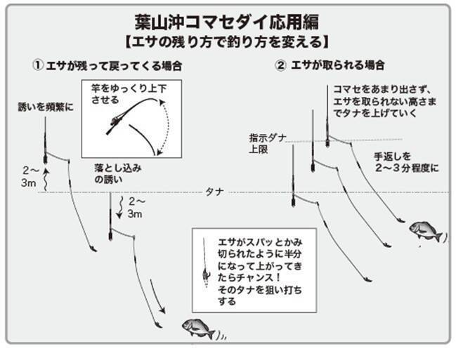 一年で最高のシーズン到来　深場で大ダイを狙おう！