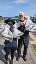 【釣果速報】千葉県フィッシュオン大勝でマダコ・アジをキャッチ！良型を狙いに行こう！