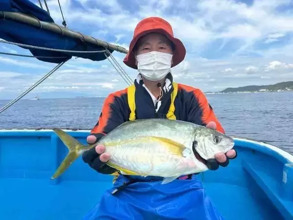 「【釣果速報】イサキ・アジ・マダイなどオールスター集う！人気魚種をバラエティ豊かに釣りたいなら神奈川県海楽園に乗船だ！」の画像