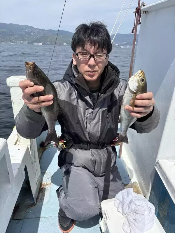 【釣果速報】静岡県安菜丸でイサキ＆カイワリ好調！トップは20匹の好釣果！今後の釣行にも乞うご期待！