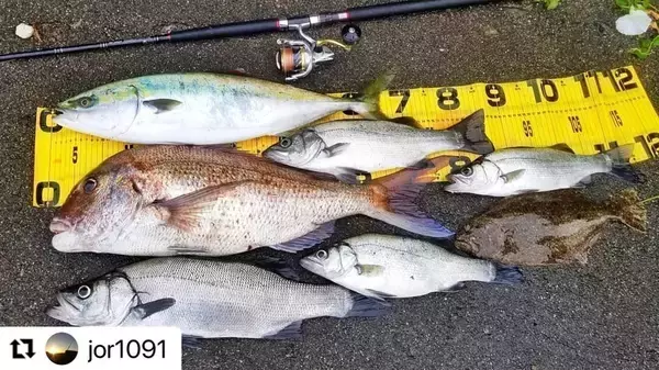 「ロックショアで活躍するゼニスのアイアンマンとは？噂のロッドの正体と実力を暴く！」の画像