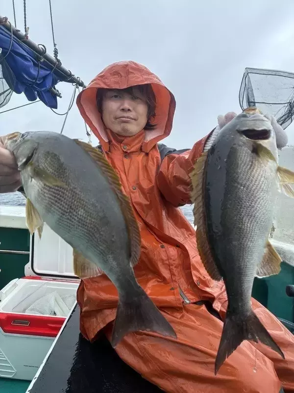 【釣果速報】和歌山県良栄丸でイサギがバズる！トップは47匹！サイズも最大37cmと大型多数！数もサイズも記録更新したいなら今スグの乗船がおすすめ！