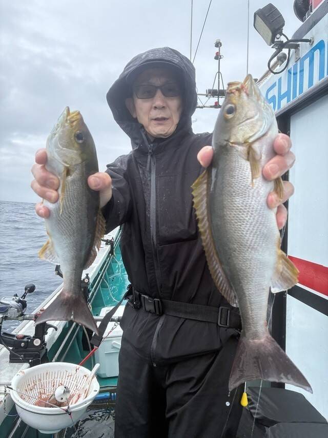 【釣果速報】和歌山県良栄丸でイサギがバズる！トップは47匹！サイズも最大37cmと大型多数！数もサイズも記録更新したいなら今スグの乗船がおすすめ！