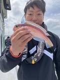 「【釣果速報】神奈川県椿丸のアジ五目船好調！ゲストも多種多様！充実の釣行をお約束します！」の画像1