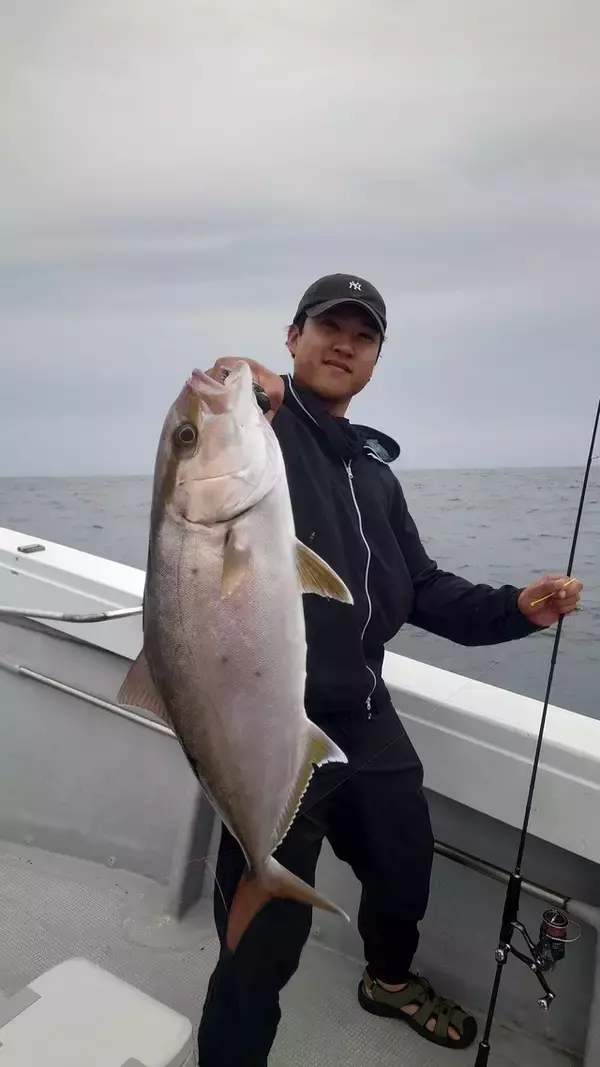 「【釣果速報】長崎県大吉丸の釣果が超壮観！イサキ大行列！めちゃくちゃ釣れてます！あなたも数釣りを楽しもう！」の画像