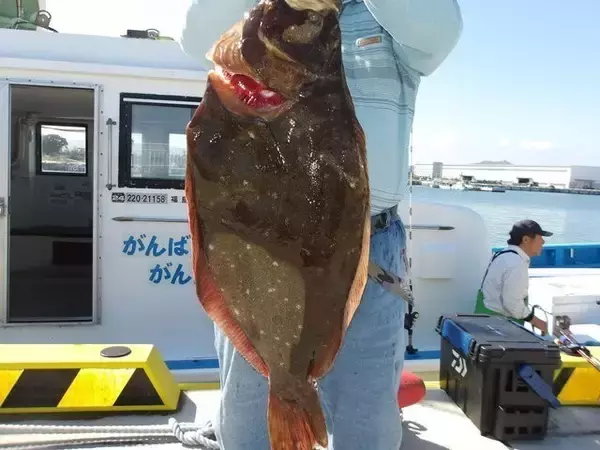 「【釣果速報】福島県つりエサ豊漁で人気のヒラメ釣れた！最大89cm！あなたも福島県つりエサ豊漁でヒラメを狙おう！」の画像